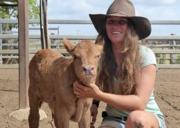 "Montana", one if my little calves Svea 3