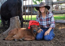 "Twist" the Santa Cow Svea 4