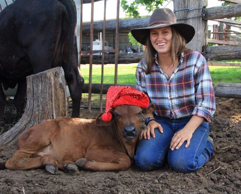 "Twist" the Santa Cow Svea 4