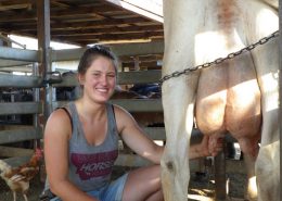 Milking "Present" Svea 7