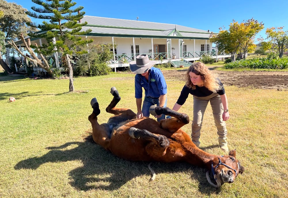 Training farm Training farm