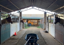Horse stable