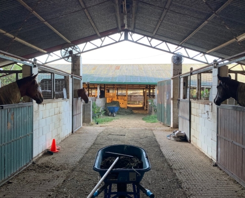 Horse stable